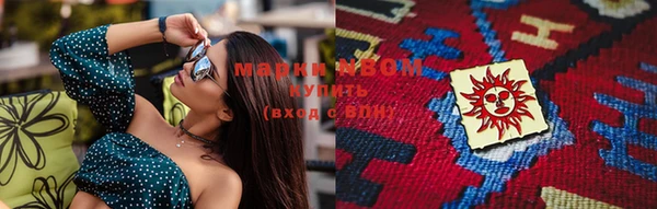 прущие грибы Карталы